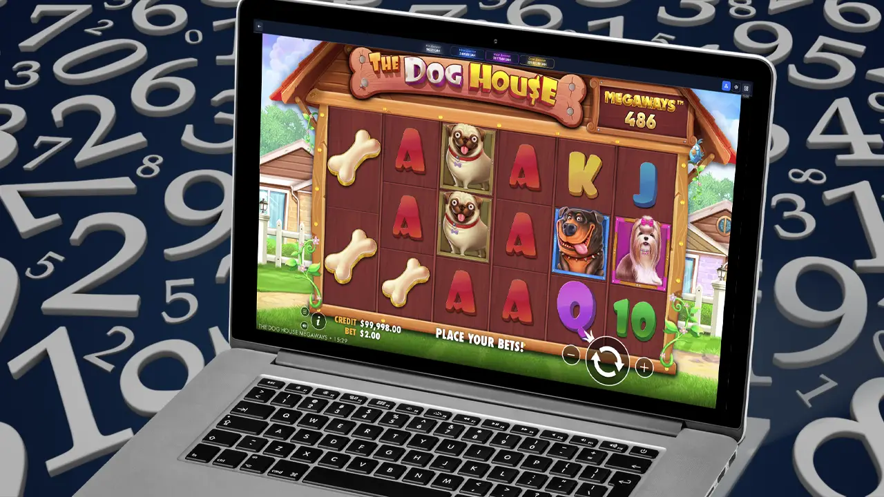 Відповідальна та чесна гра в казино Champion Club